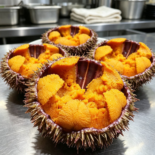Fresh-Frozen Sea Urchin Seafood